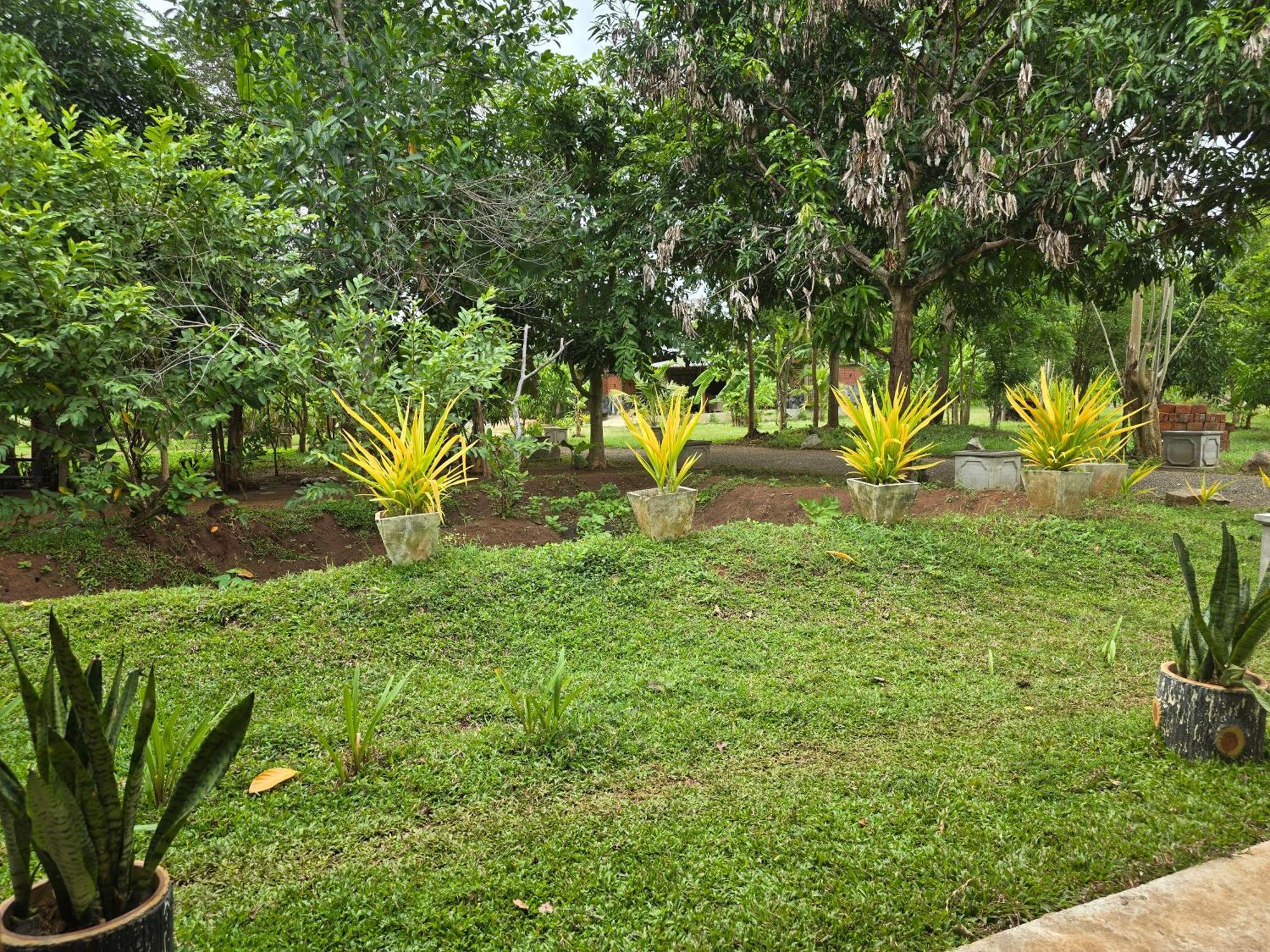 Ceylon Resort Wilpattu Zewnętrze zdjęcie